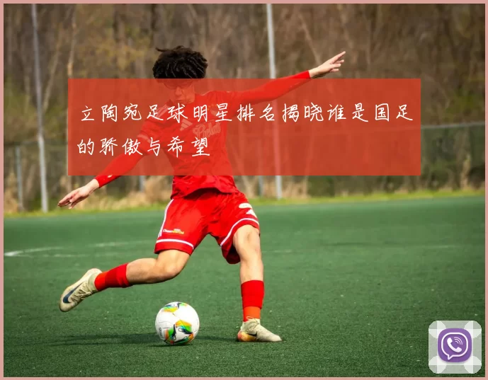 立陶宛足球明星排名揭晓谁是国足的骄傲与希望