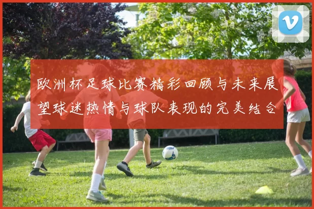欧洲杯足球比赛精彩回顾与未来展望球迷热情与球队表现的完美结合